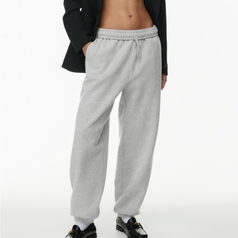 Aritzia Cozy Fleece Mega Sweatpants